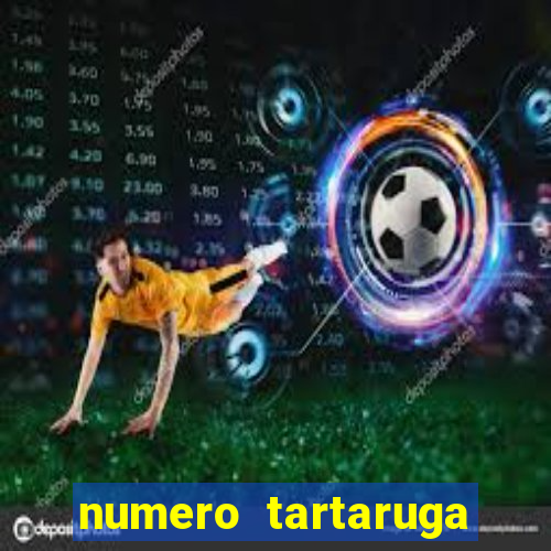 numero tartaruga jogo do bicho